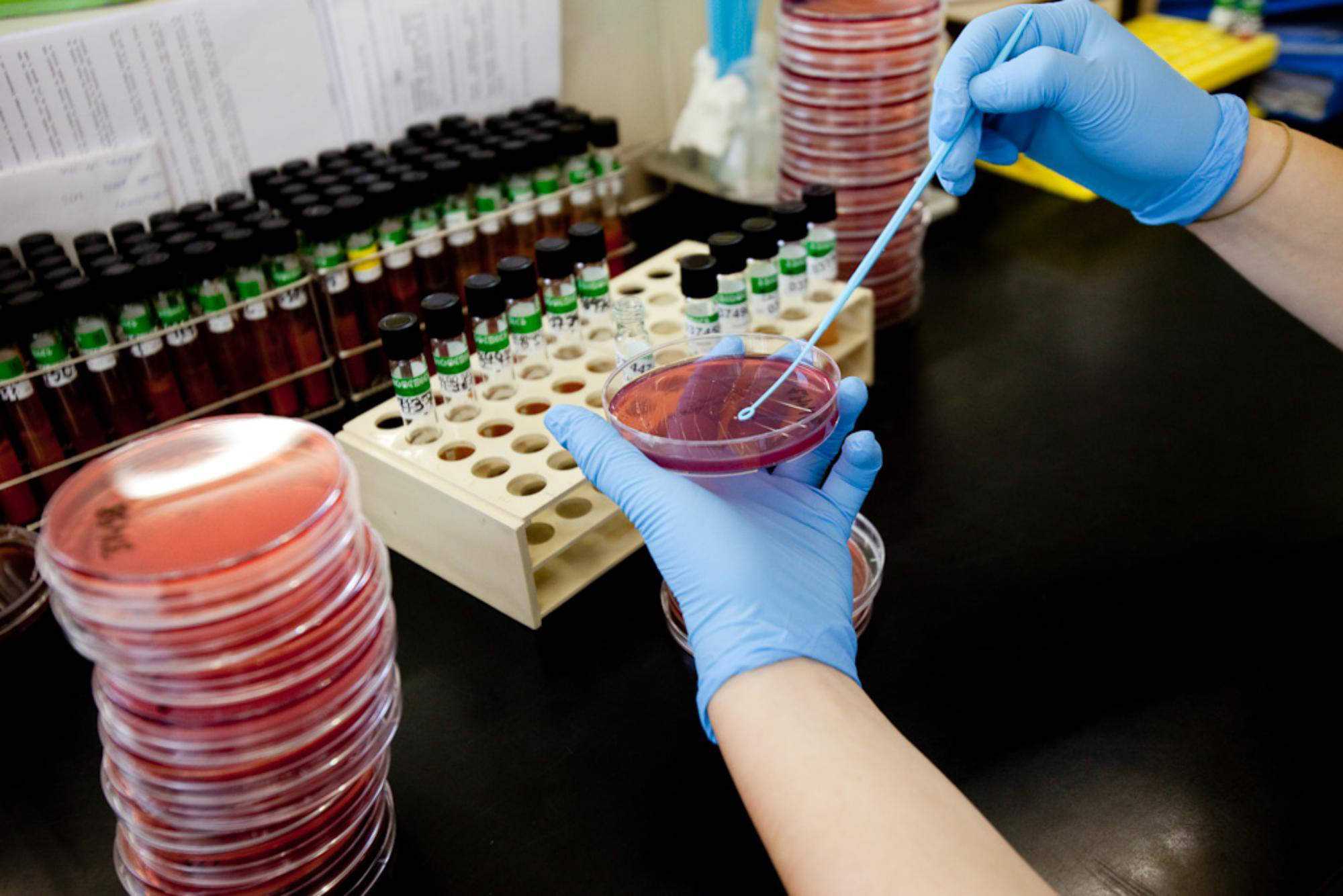 Laboratori del Trueta