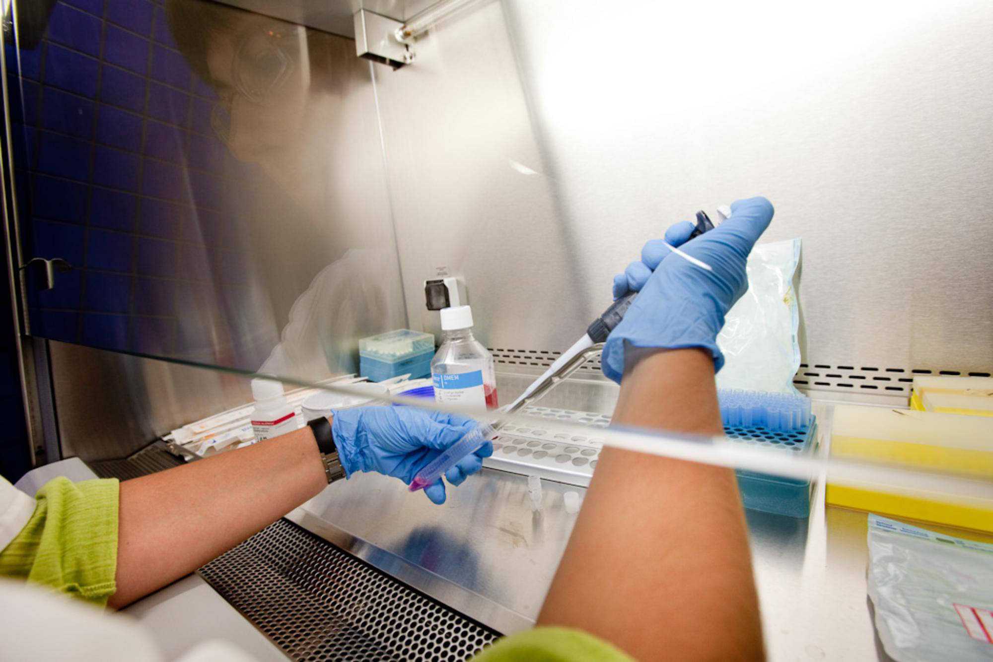 El laboratori del Trueta