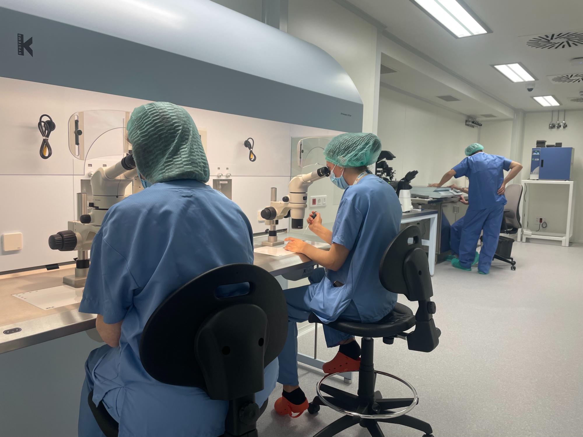 Reproducció assistida